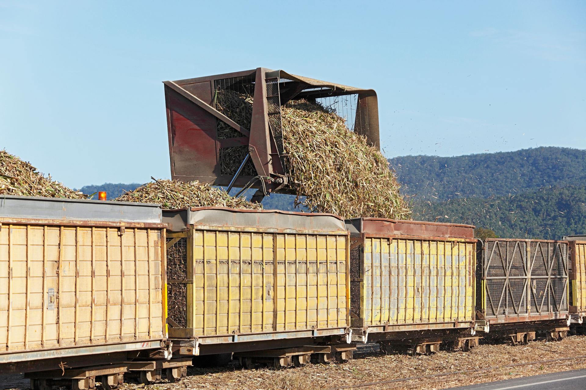 Road to rail transfer of sugar cane for mill delivery