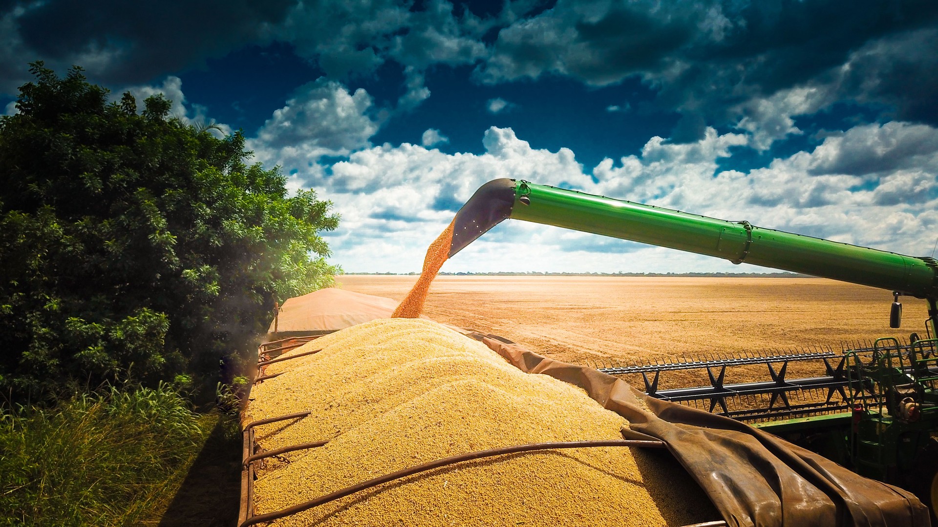 Agribusiness: Harvest Soybean, Agriculture - Agricultural Harverster Machine - Agronegócio: Colheita da Soja, Maquina Agrícola Colheitadeira.